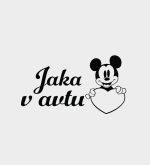 Jaka v avtu (poljubno ime)