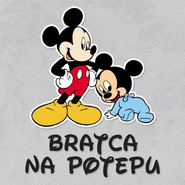 Miki Miška - Brat in bratec